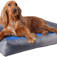 Flamingo Kylbädd blå/grå