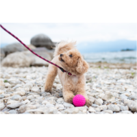 Kiwi Walker - Slitstark boll TPR - Rosa 5cm